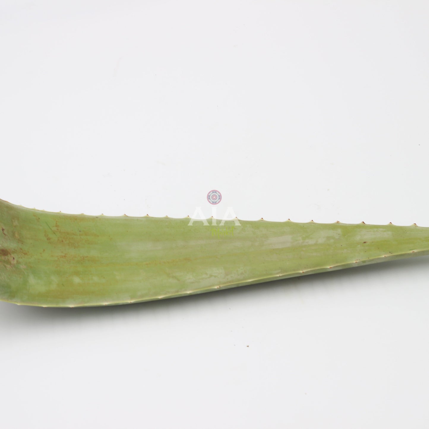 Fresh Aloe Vera 1Kg